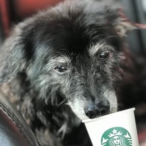 Meet your Posher, Heidi